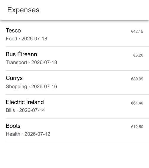 The expense list, showing merchant, category, date and amount for each entry